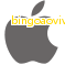 Aplicativo bingoaovivo.betbet para iOS